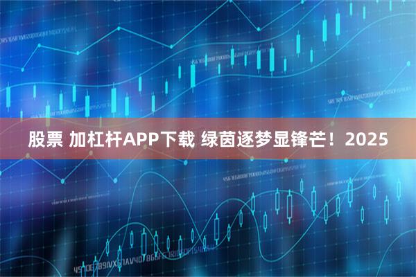 股票 加杠杆APP下载 绿茵逐梦显锋芒！2025