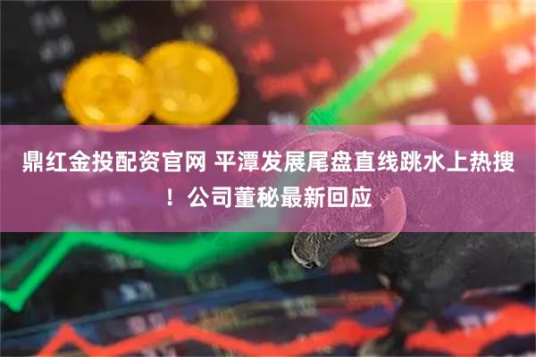 鼎红金投配资官网 平潭发展尾盘直线跳水上热搜!公司董秘最新回应